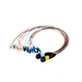 MPO to LC Patch Cord