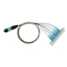 MPO to LC Patch Cord